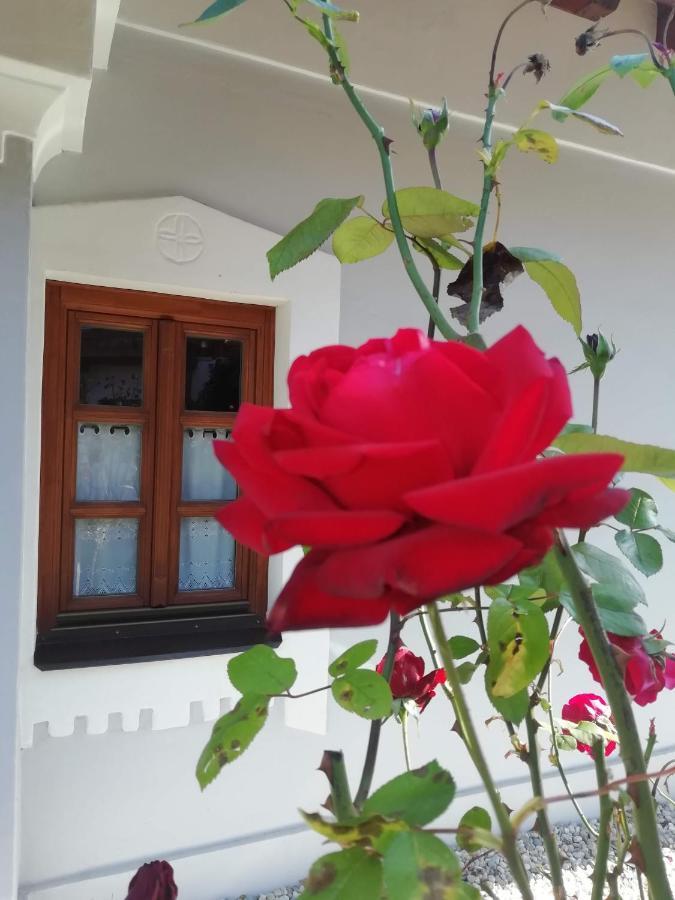 Arácsi Vendégház Balatonfüred Exterior foto